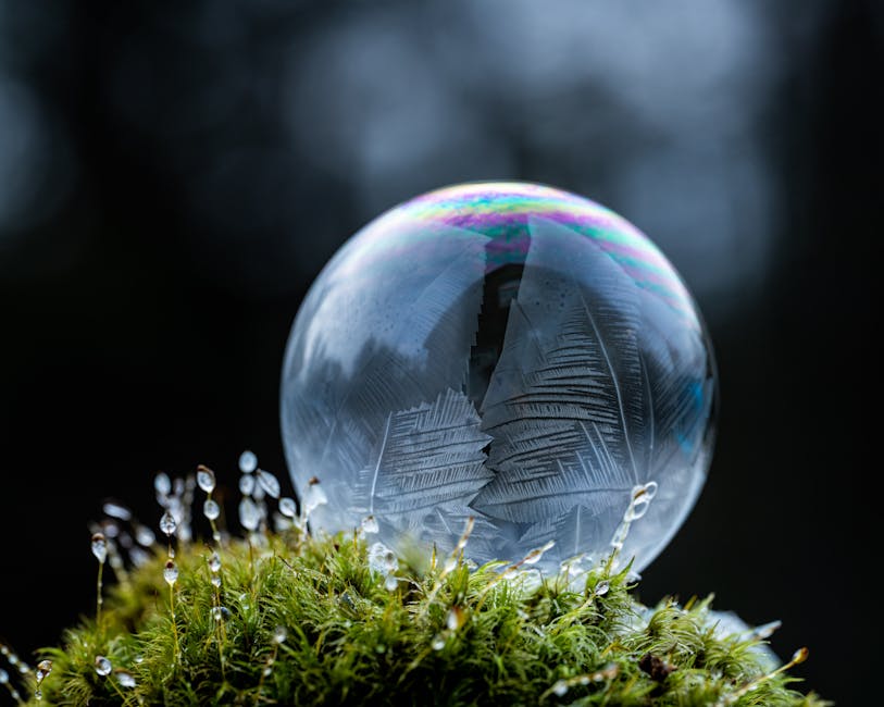 Featured image for Top 5 Best Things Near 9717 Frankelity Like Circle 33578